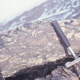 F1 Folds in Gneiss