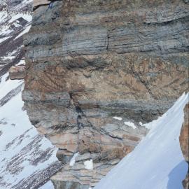 On Alligator Peak