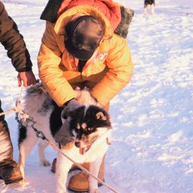 'Doggo' Bill Eaton Unhitches a Husky