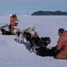 Dog team by Barne Glacier