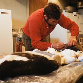 Biologist John Cranfield at Hallett Station