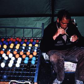 Biologist outwits Skua?