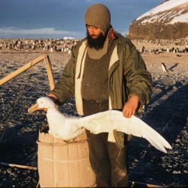 Giant Petrel and Brian Reid