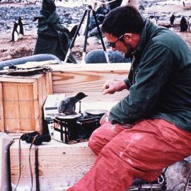 at 1/9 A Pound That Will Be...