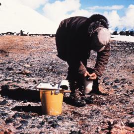 Penguin Registration