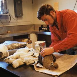 John Cranfield in lab