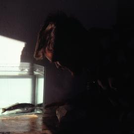 John McDonald working in a Lab