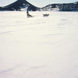 Bill Eaton Training Lead Dog