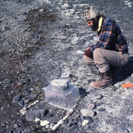 Measuring Mosses' Microclimates