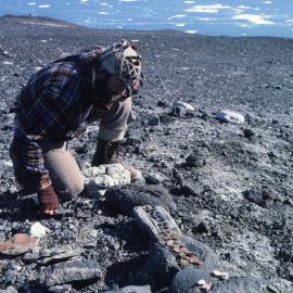 Erosion and Colonisation of Rocks