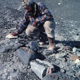 Erosion and Colonisation of Rocks