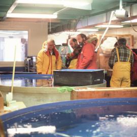 McMurdo Station Aquarium