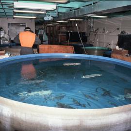 McMurdo Station Aquarium