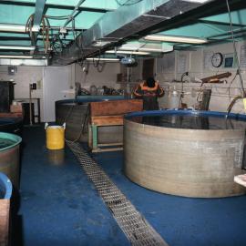 McMurdo Station Aquarium