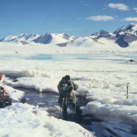 Antarctic Aquatic Ecosystems Researchers