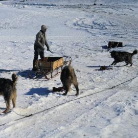 Feeding time for Dog Team