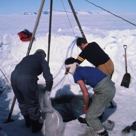 Knox, Peacey and Osborne with a plankton net