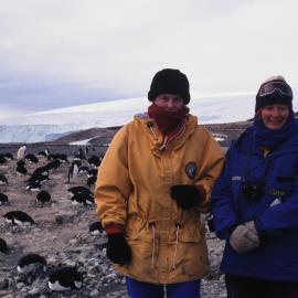 Penguins at Cape Bird with Beth Speirs and Shirley McQueen