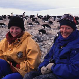 Adelie Penguins at Cape Bird with Beth Speirs and Shirley McQueen