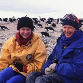 Adelie Penguins at Cape Bird with Beth Speirs and Shirley McQueen