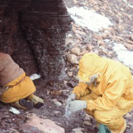 Aztec Formation on Table Mountain