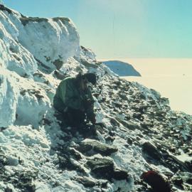 Collecting Plant and Permian Bivalve Fossils on Mount Glossopteris