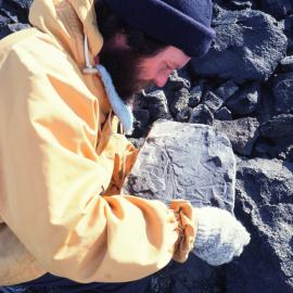 200 Million Year old Shapeless Mountain Fossils