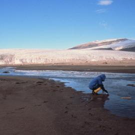 Taking Melt Water Samples from Streams of Lower Victoria Glacier