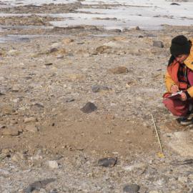 A restored site after sampling with site impact being assessed 
