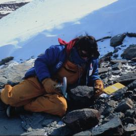 John Long Collecting on Fish Hotel