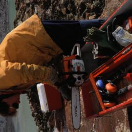 Chris Nelson, ice cutting