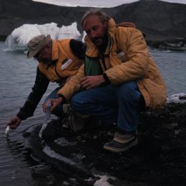 Sampling at Bratina Island