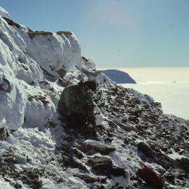Glossopteris leaf sedimentary band 