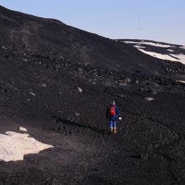 Tracks on Land After Cruise Ship Visit