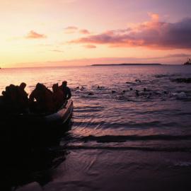 KK Tourists Landing Enderby Island 