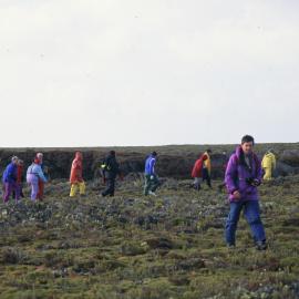 Peat-land, Mike Slater, and Tourists