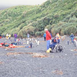 Tourist in Wheelchair on Macquarie Island