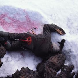 'The Victim' - SAREX training