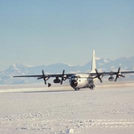 NZ Hercules