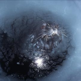Seal in the Fish Hut