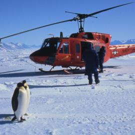 Greenpeace Helicopter and Emperor Penguins on sea ice