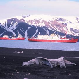 Old Adversaries at Whalers Bay