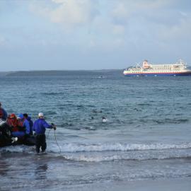 Zodiac from the Fontier Spirit Making Land