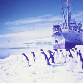 HMNZS Endeavour, McMurdo Sound