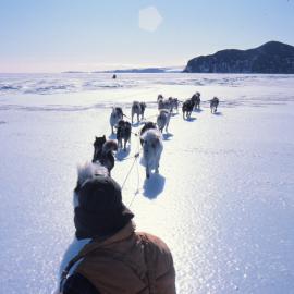 Fifteen Huskies, Cape Barne