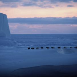 Huskies, Cape Royds. Iceberg