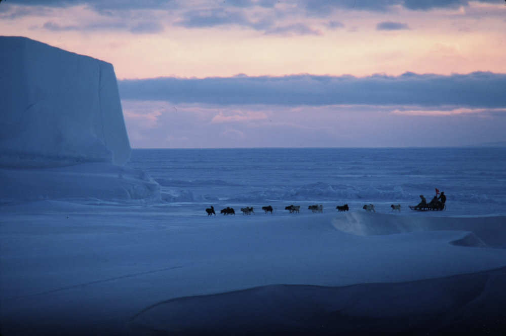 Huskies, Cape Royds. Iceberg