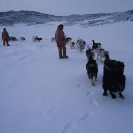 Husky Team Leaves Cape Royds