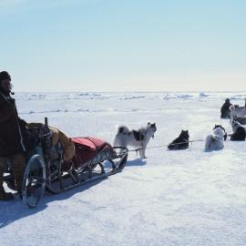 Gary Bowcock & Dogs, Barne Glacier