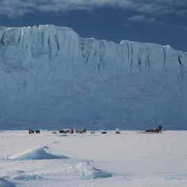 Dogs, Barne Glacier